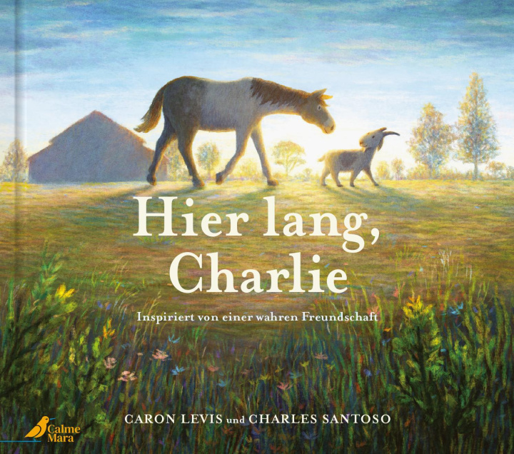 Knjiga Hier lang, Charlie Charles Santoso
