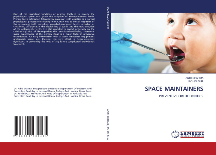 Buch SPACE MAINTAINERS Rohini Dua