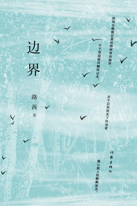 Kniha ?? Boundary 路茜