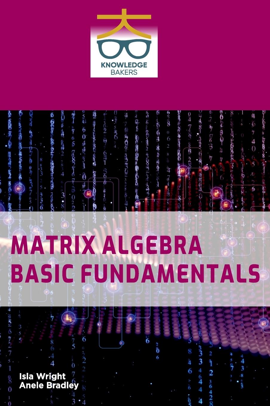Kniha Matrix Algebra Anele Bradley