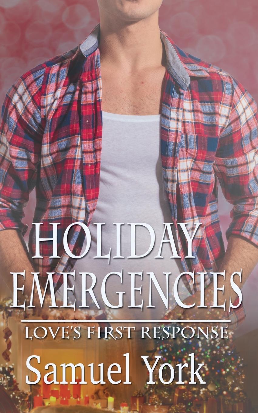 Kniha Holiday Emergencies 
