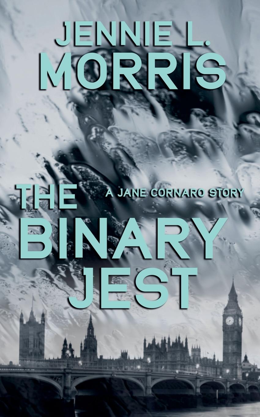 Kniha The Binary Jest 