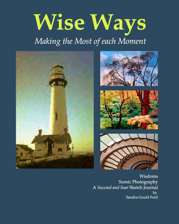Kniha Wise Ways Sandra Gould Ford