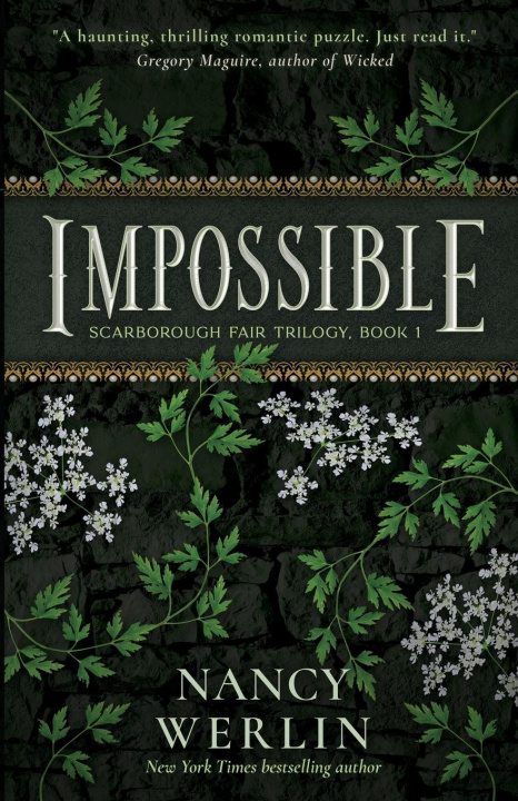 Book Impossible Nancy Werlin