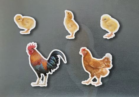 Knjiga Magneticos familia gallinas 