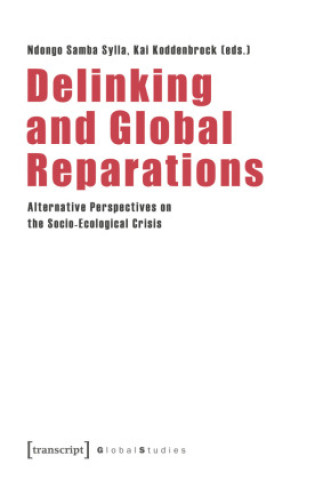 Boek Delinking and Global Reparations Ndongo Samba Sylla