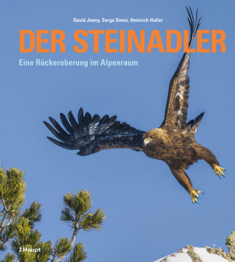Книга Der Steinadler David Jenny
