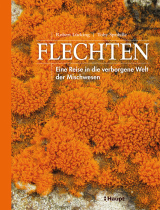 Livro Flechten Robert Lücking