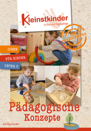 Kniha Die Praxismappe: Pädagogische Konzepte Maren Kramer