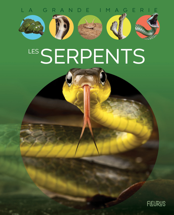 Kniha Les serpents Cathy Franco
