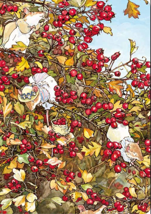 Kniha Carnet Automne 