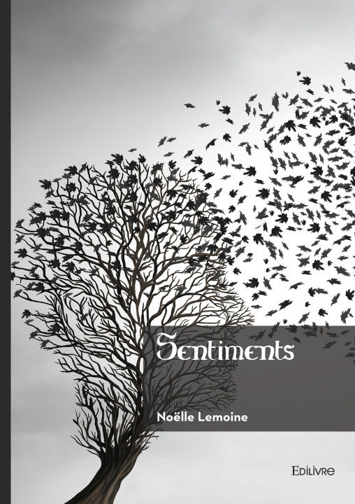 Kniha Sentiments Noëlle Lemoine