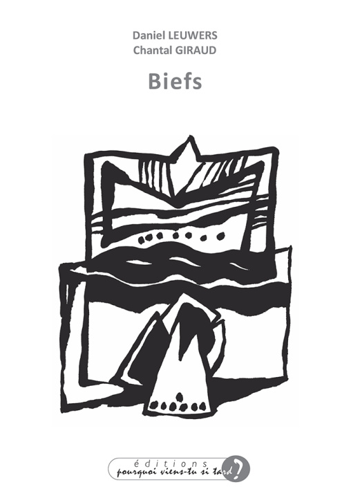 Kniha BIEFS LEUWERS