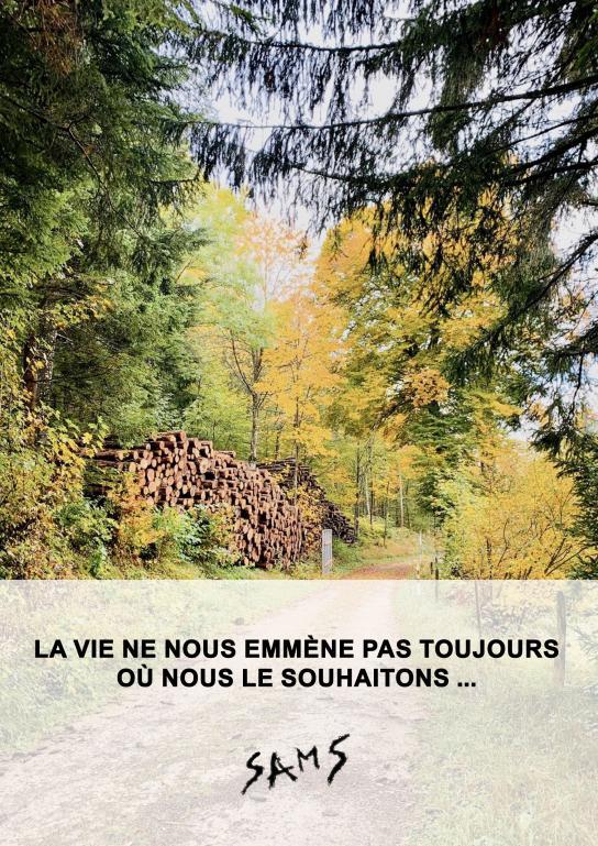 Kniha LA VIE NE NOUS EMMÈNE PAS TOUJOURS ... SAMS