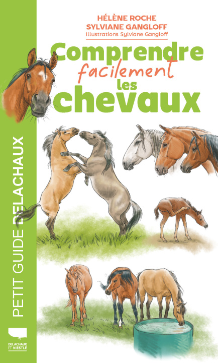 Kniha Comprendre facilement les chevaux Hélène Roche