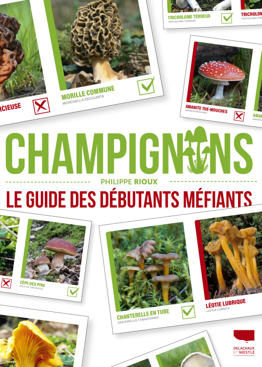 Kniha Champignons Philippe Rioux