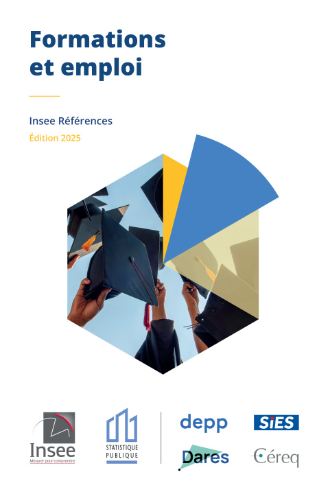 Knjiga Formations et Emploi INSEE EDITIONS