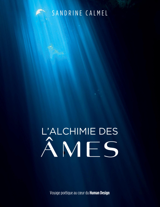 Kniha ALCHIMIE AMES CALMEL SANDRINE