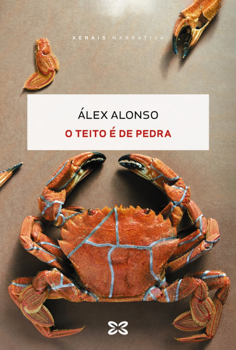 Kniha O Teito E De Pedra Álex Alonso