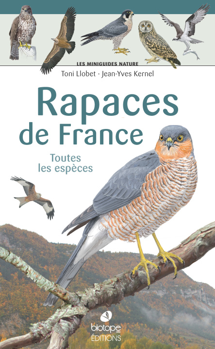 Kniha Les miniguides nature - Rapaces Kernel