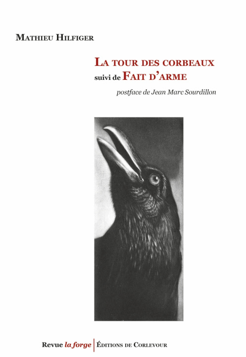 Knjiga La tour des corbeaux Mathieu Hilfiger