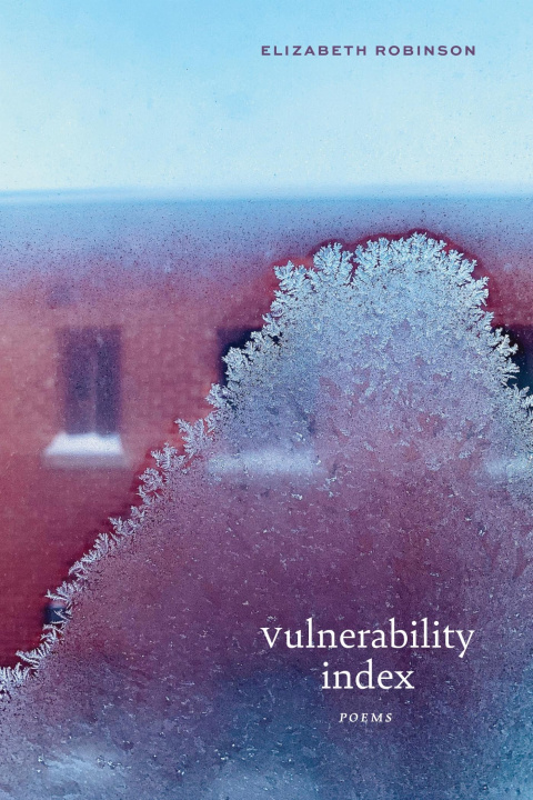 Kniha Vulnerability Index Elizabeth Robinson