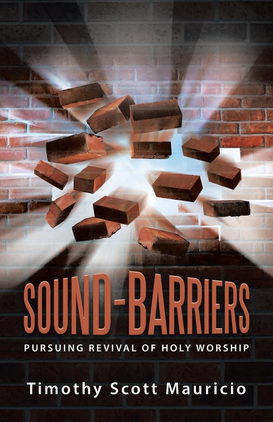 Kniha Sound-Barriers 