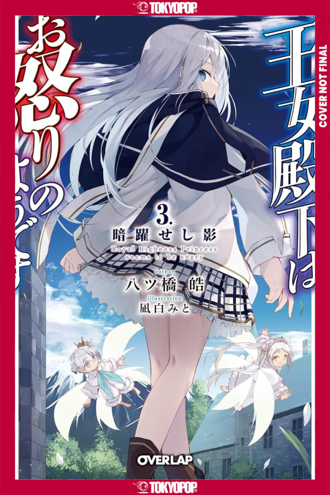 Libro Her Royal Highness Seems to Be Angry, Volume 3 (Light Novel) Mito Nagishiro