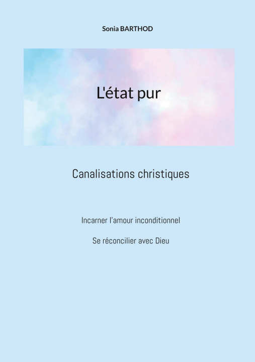 Kniha L'état pur Barthod