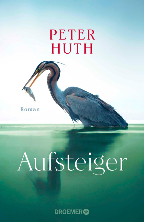 Kniha Aufsteiger Peter Huth