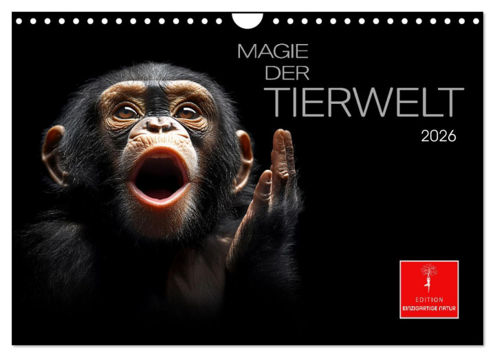 Kalendár/Diár Magie der Tierwelt (Wandkalender 2026 DIN A4 quer), CALVENDO Monatskalender Calvendo