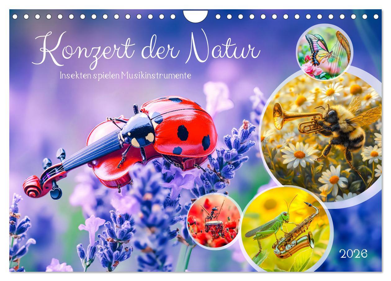 Kalendář/Diář Konzert der Natur - Insekten spielen Musikinstrumente (Wandkalender 2026 DIN A4 quer), CALVENDO Monatskalender Calvendo
