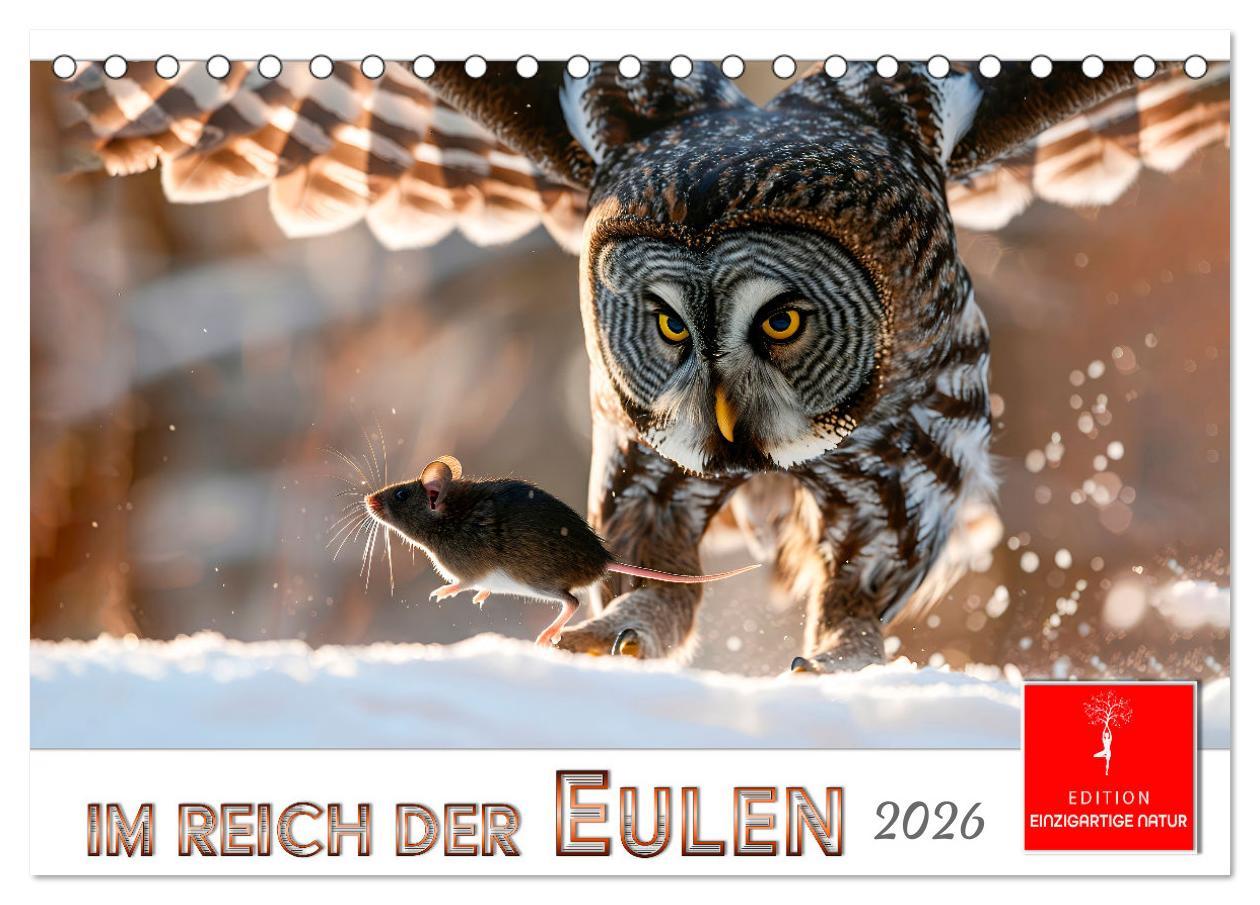 Kalendář/Diář Im Reich der Eulen (Tischkalender 2026 DIN A5 quer), CALVENDO Monatskalender Calvendo