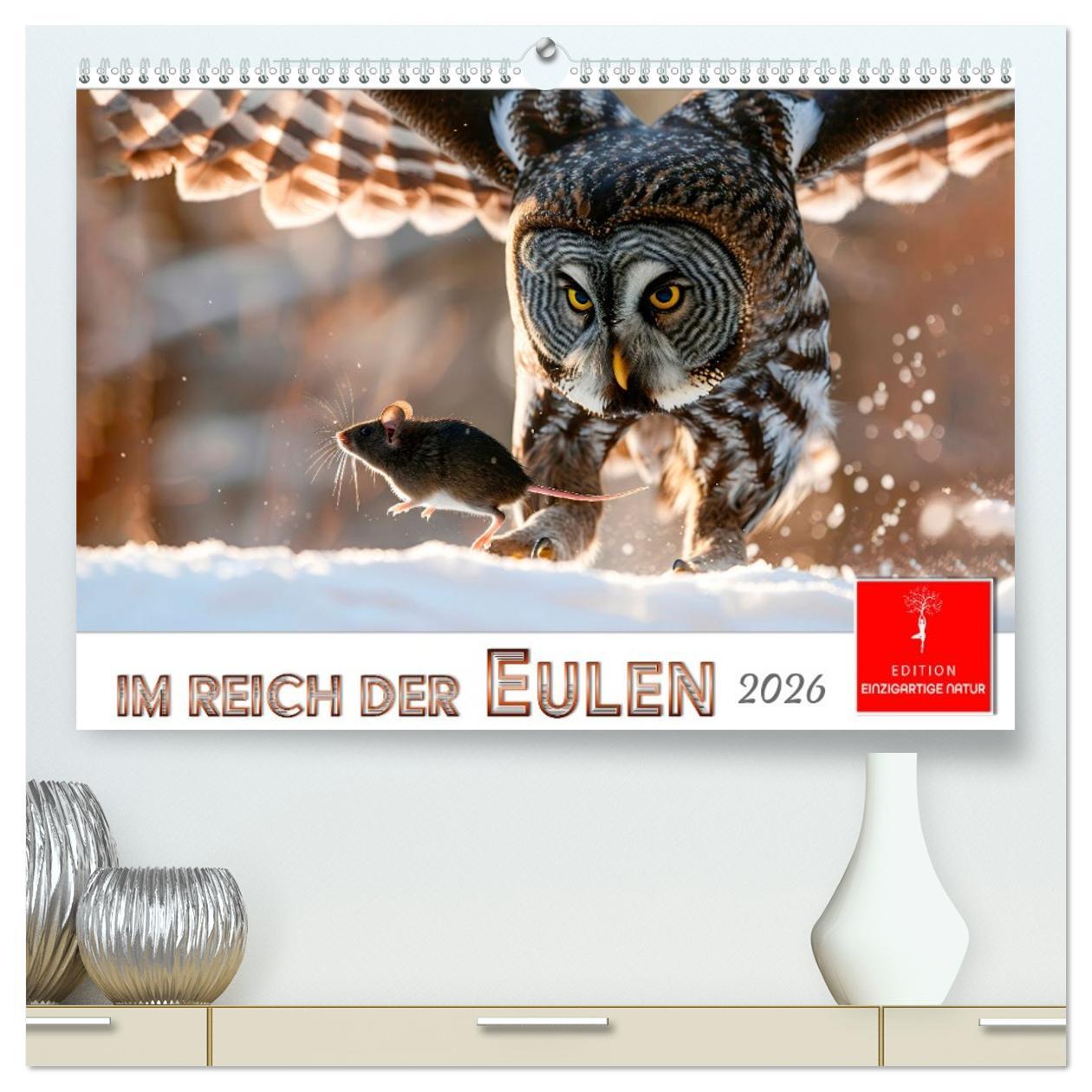 Kalendář/Diář Im Reich der Eulen (hochwertiger Premium Wandkalender 2026 DIN A2 quer), Kunstdruck in Hochglanz Calvendo
