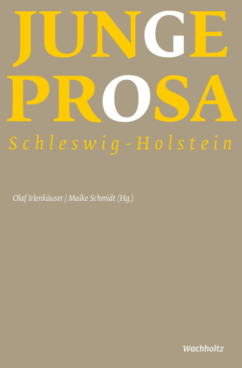 Knjiga Junge Prosa Schleswig-Holstein Maike Schmidt