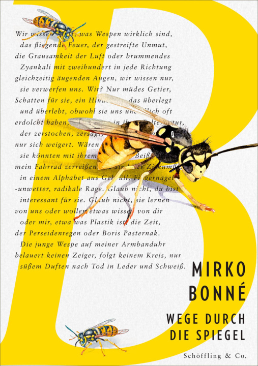 Kniha Wege durch die Spiegel Mirko Bonné