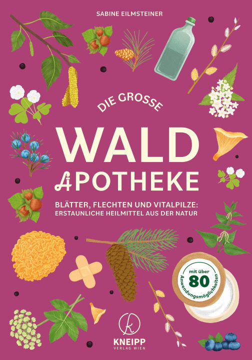 Kniha Die große Waldapotheke Sabine Eilmsteiner