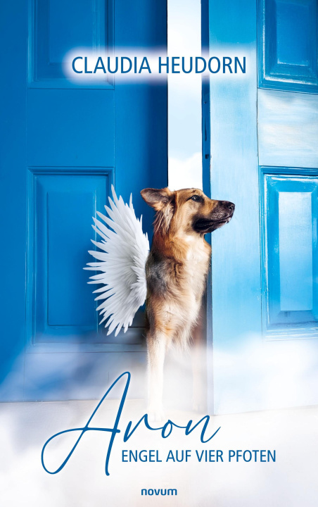 Kniha Aron Claudia Heudorn