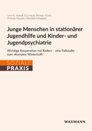 Książka Junge Menschen in stationärer Jugendhilfe und Kinder- und Jugendpsychiatrie Silja Hauß