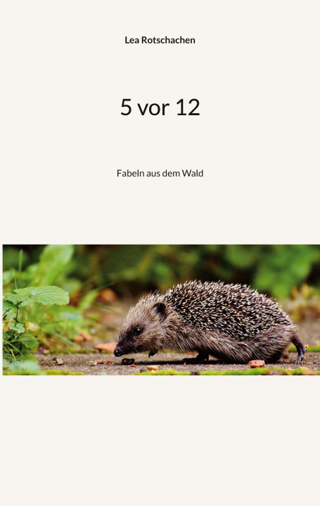 Kniha 5 vor 12 Lea Rotschachen