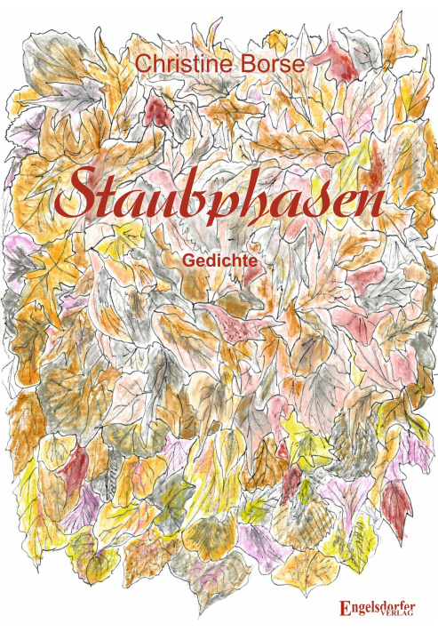 Kniha Staubphasen 