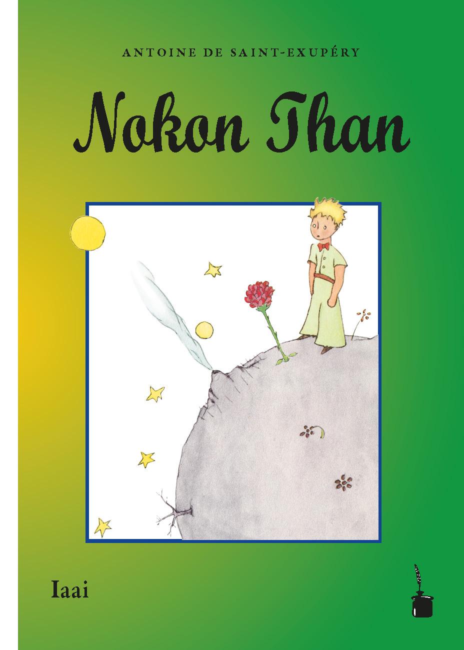 Kniha Nokon Than Diane Bae