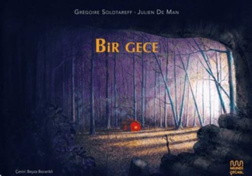 Kniha Bir Gece 