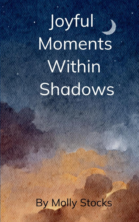 Kniha Joyful Moments Within Shadows Molly Stocks