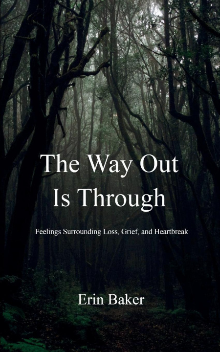 Kniha The Way Out Is Through Erin Baker