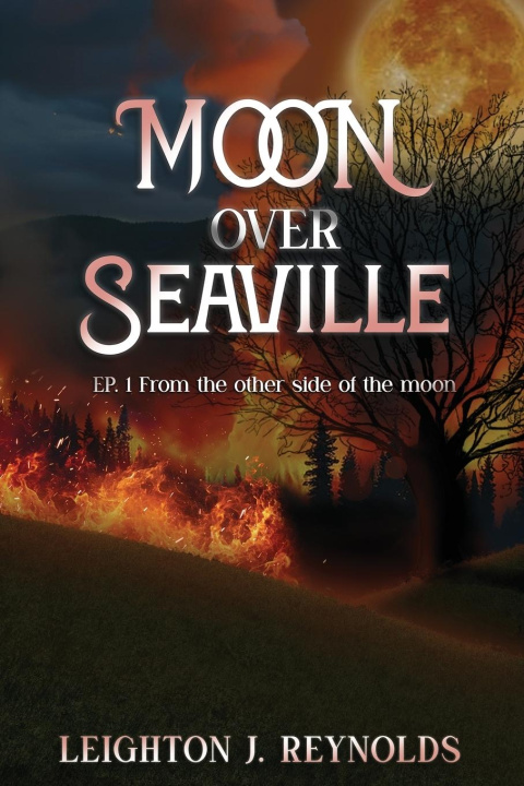 Kniha Moon Over Seaville 