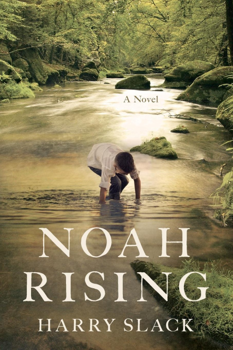Kniha Noah Rising 