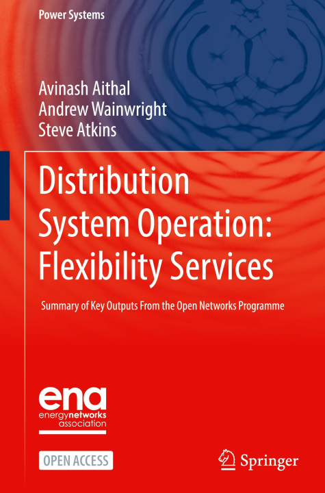 Kniha Distribution System Operation: Flexibility Services Avinash Aithal