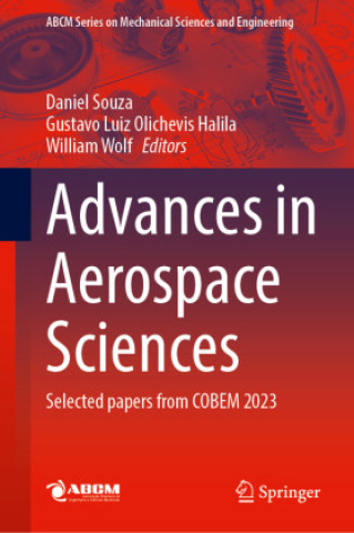 Kniha Advances in Aerospace Sciences Daniel Souza