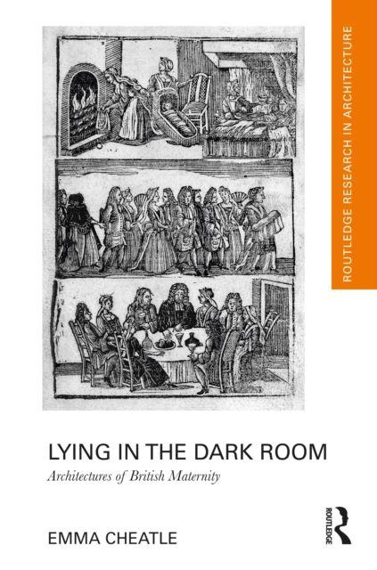 Kniha Lying in the Dark Room Emma Cheatle